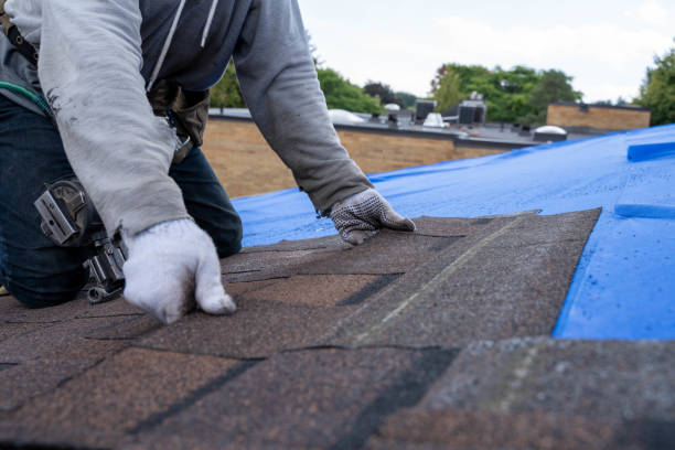 Best Flat Roof Repair Services  in Fremont, MI