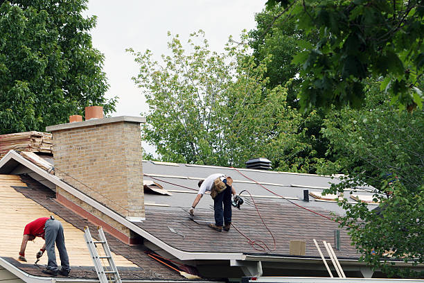 Roof Gutter Cleaning in Fremont, MI