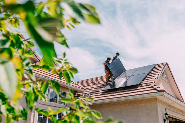 Best Roof Gutter Cleaning  in Fremont, MI