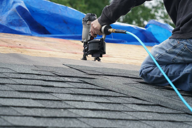 Best Sealant for Roof  in Fremont, MI