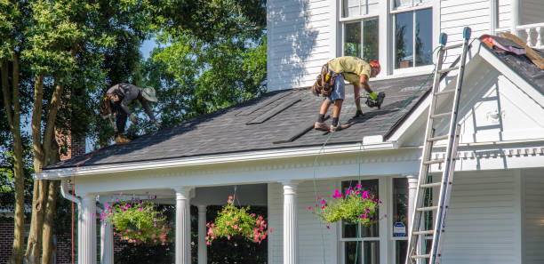 Best Roof Repair Services  in Fremont, MI