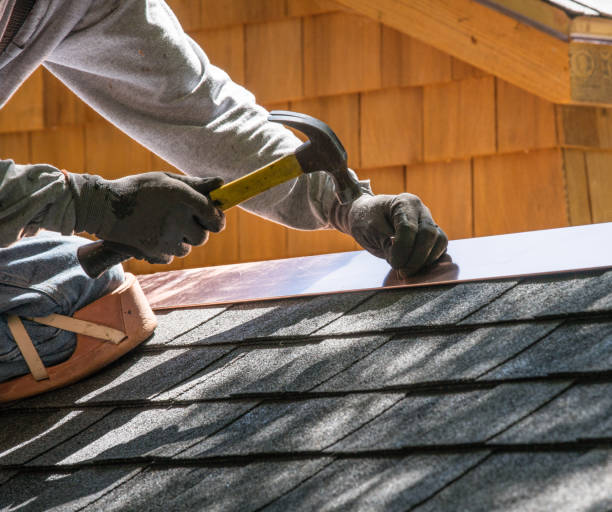 Best Sealant for Roof  in Fremont, MI